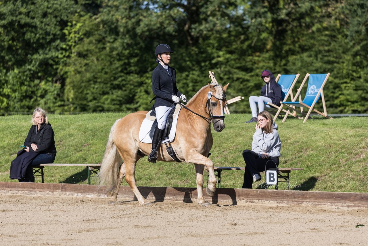 Bild 149 - Pony Akademie Turnier